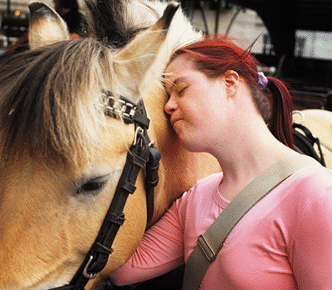 Vereadores aprovam subvenções para entidades assistências em regime de urgência
