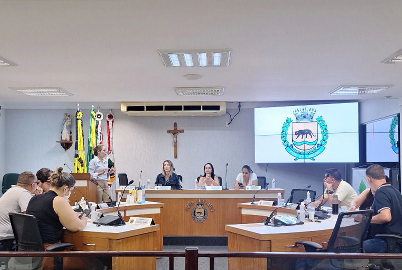 Reunião de comissões