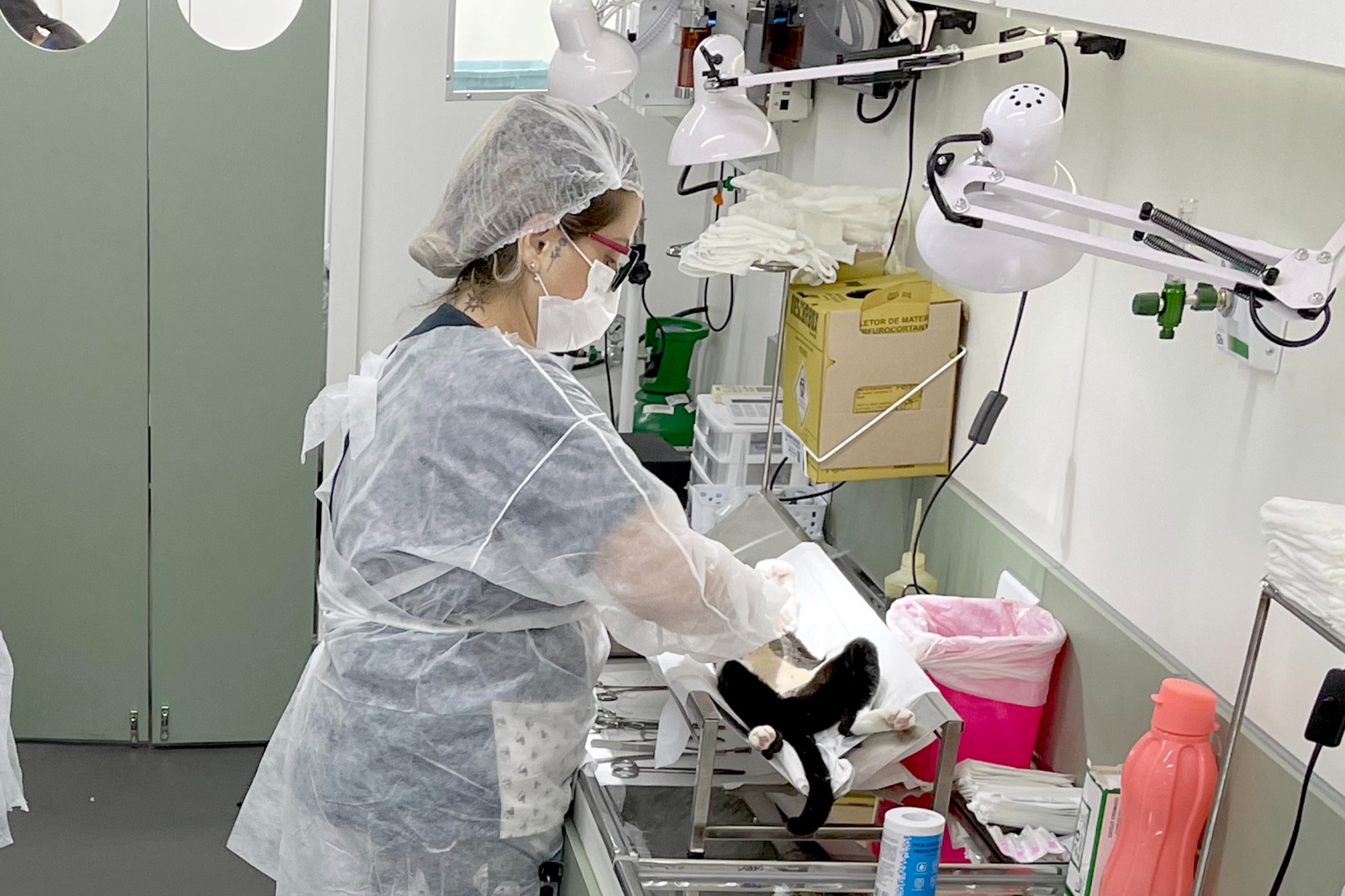 Azulão receberá mutirão de castração e microchipagem gratuito, na sexta-feira (23)