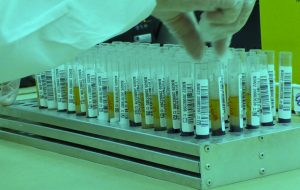 Pesquisa aborda importância dos agentes comunitários de saúde durante pandemia