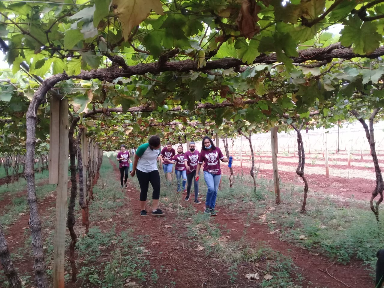 PROJETO DE TURISMO LOCAL